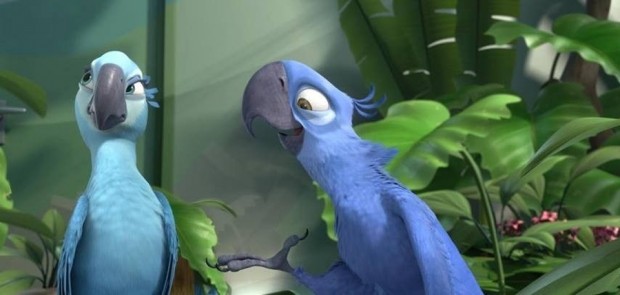 RIO 2 Image 03