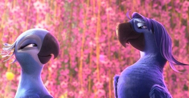 RIO 2 Image 05