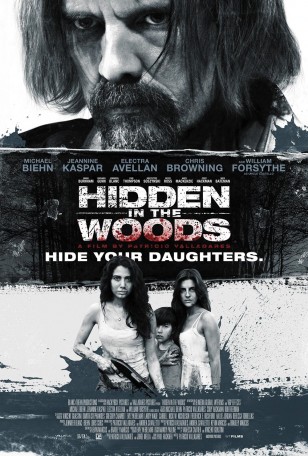 HIDDEN IN THE WOODS Poster 01