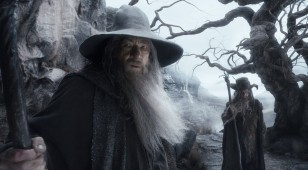 THE HOBBIT THE DESOLATION OF SMAUG Image 10