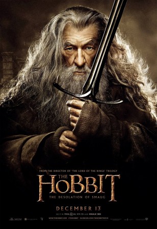 The Hobbit The Desolation of Smaug Gandalf Poster