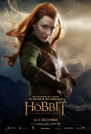 The Hobbit The Desolation of Smaug Poster 04