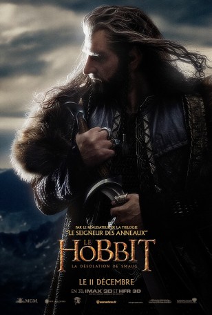 The Hobbit The Desolation of Smaug Poster 06