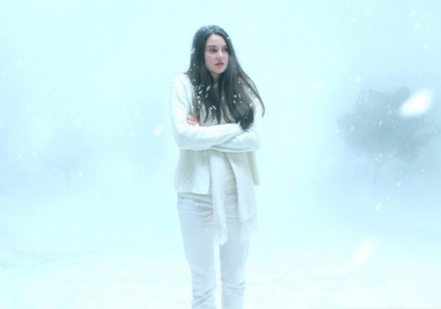 White Bird in a Blizzard Image 06