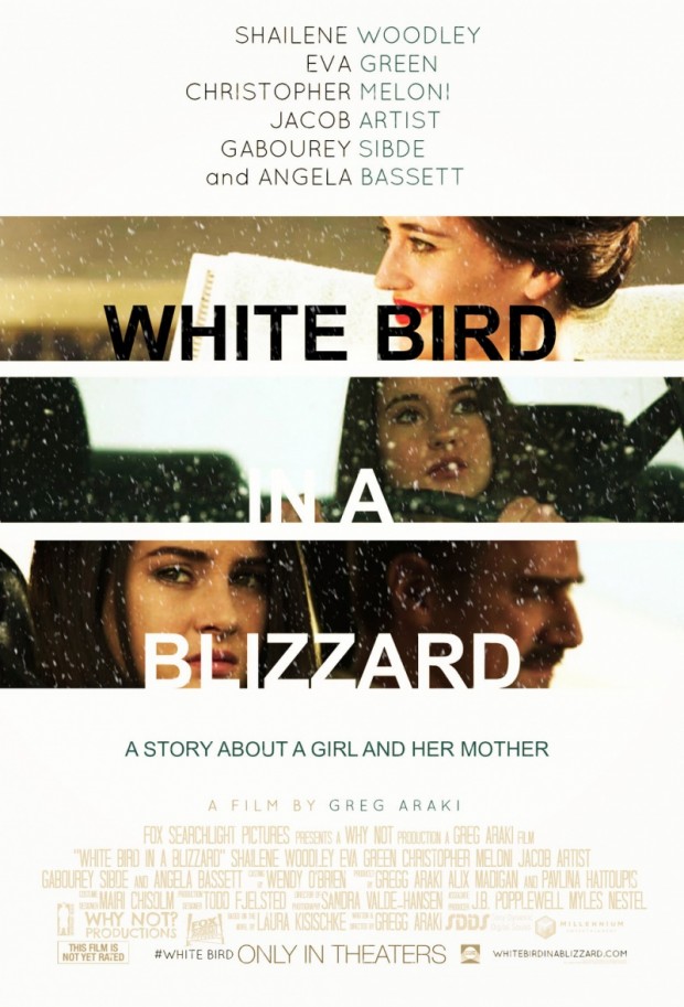 White Bird in a Blizzard Poster