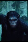 Dawn Of The Planet Of The Apes