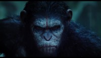 Dawn Of The Planet Of The Apes Photo - Caesar