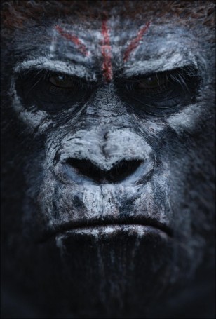 Dawn of the Planet of the Apes Poster 02