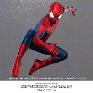 THE AMAZING SPIDER-MAN 2 Image 03